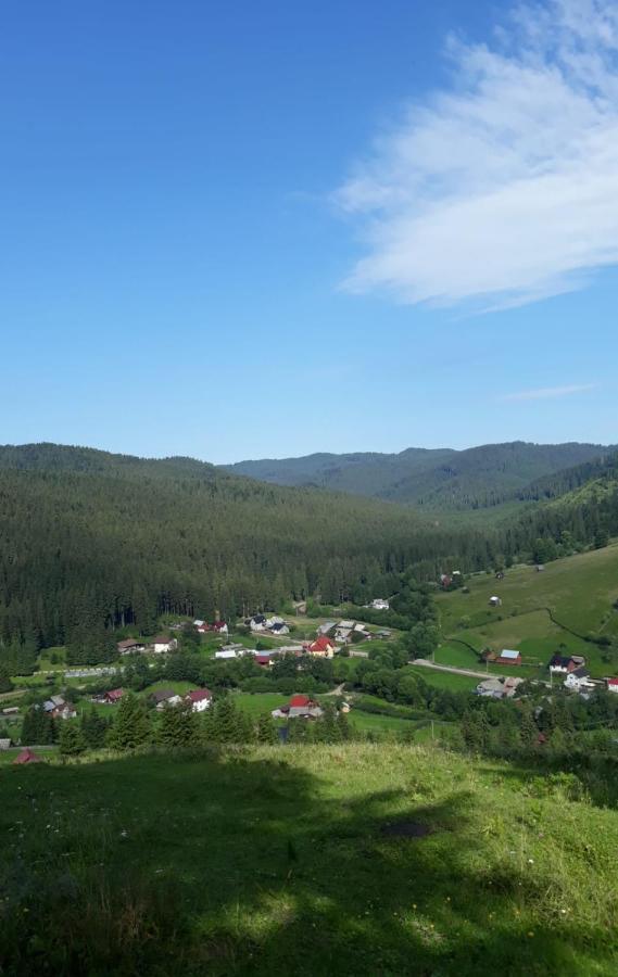 Pensiunea Argela Экстерьер фото