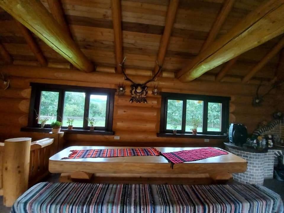 Pensiunea Argela Экстерьер фото