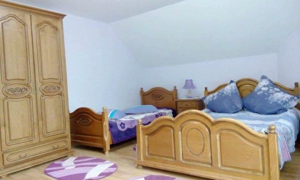 Pensiunea Argela Экстерьер фото