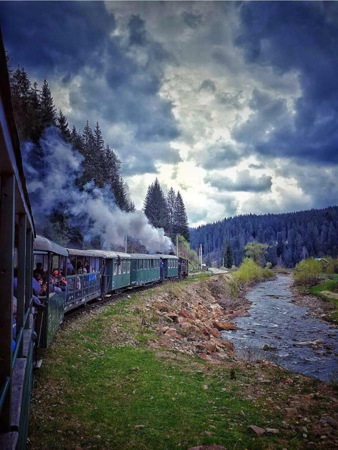Pensiunea Argela Экстерьер фото